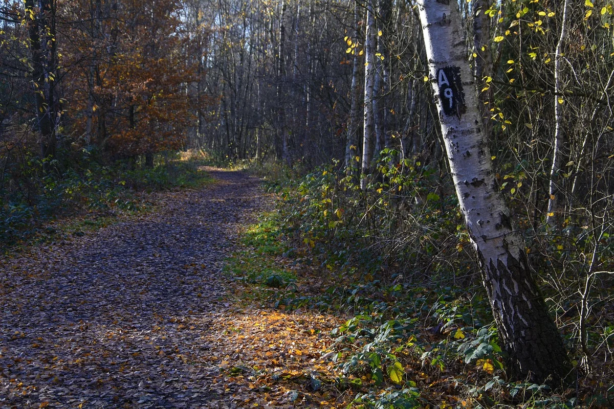 Mobiliser la foule et les collectivités