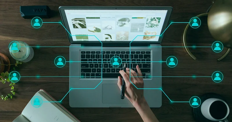 Le bonus data : où se cache le vrai avantage