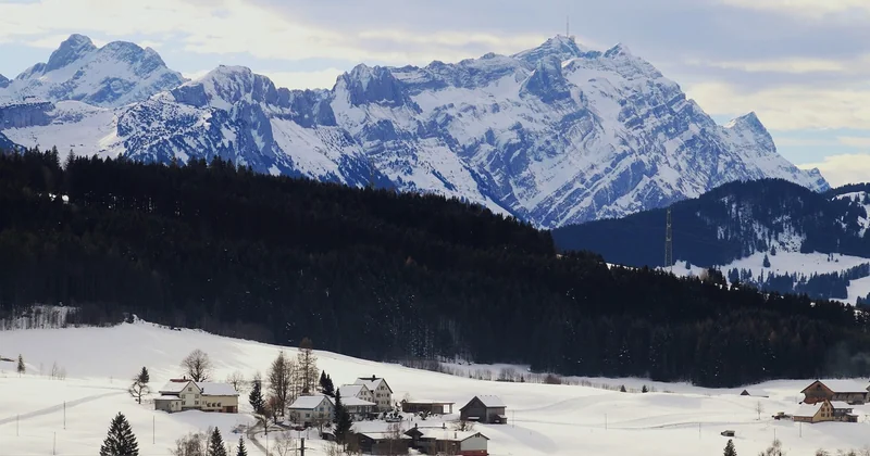 Ce que le règlement local de publicité impose avant même de parler matériau