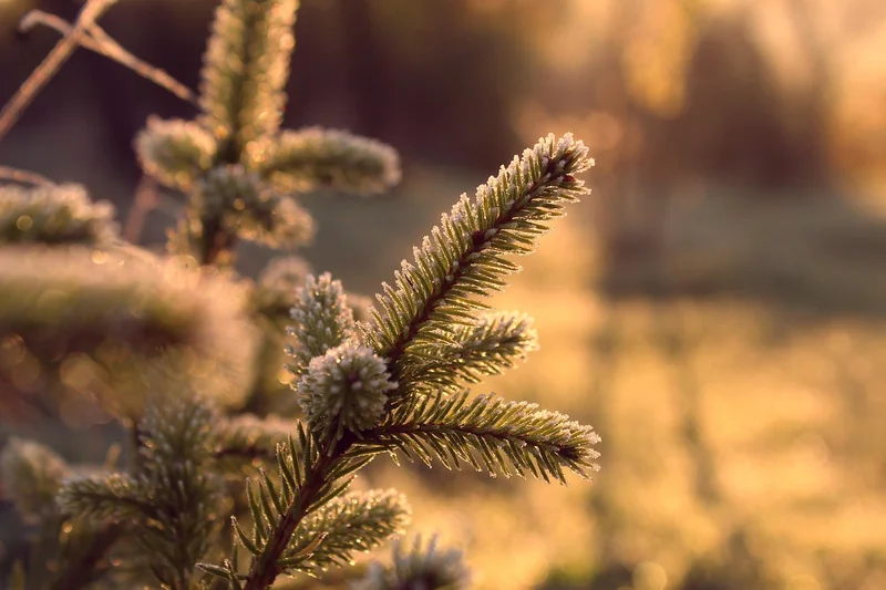 L'engagement écologique est-il réel ?