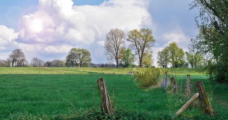 Matériaux et implantation : ce qui tient vraiment dans le 44